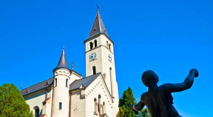 Miasto białego wina