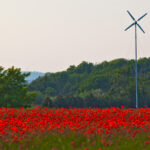 IMG_2681-2