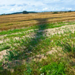 IMG_5582