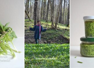 Wegańskie pesto z czosnku niedźwiedziego